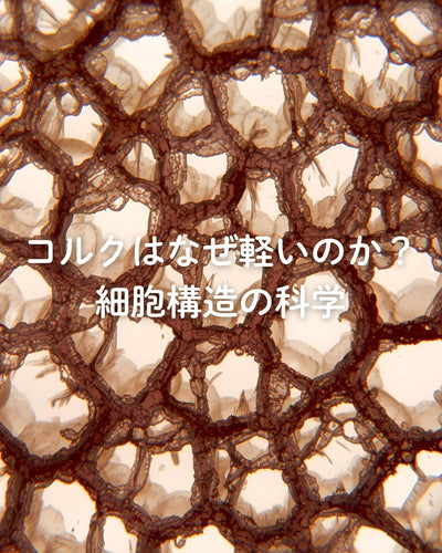 コルクはなぜ軽いのか？細胞構造の科学